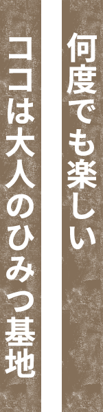 ココは大人のひみつ基地