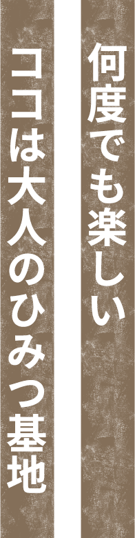 ココは大人のひみつ基地